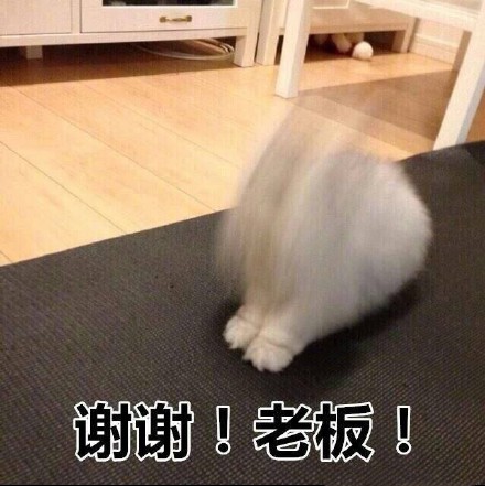 谢谢老板表情包可爱gif