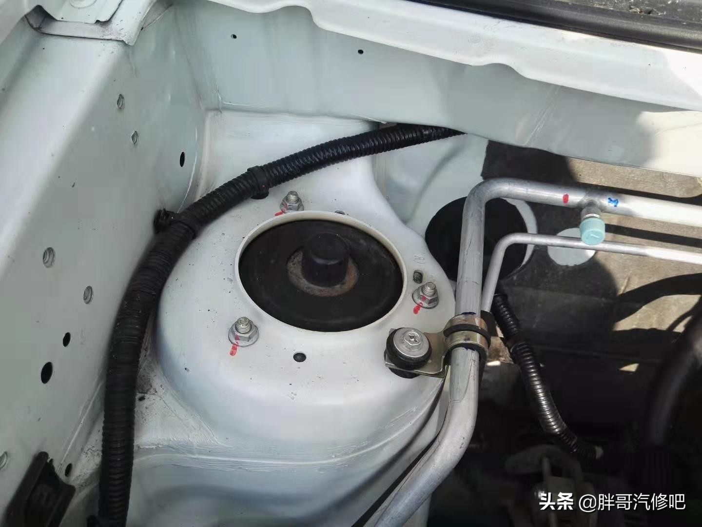 胖哥推荐铃木血统二手车，大空间、高配置、还省油