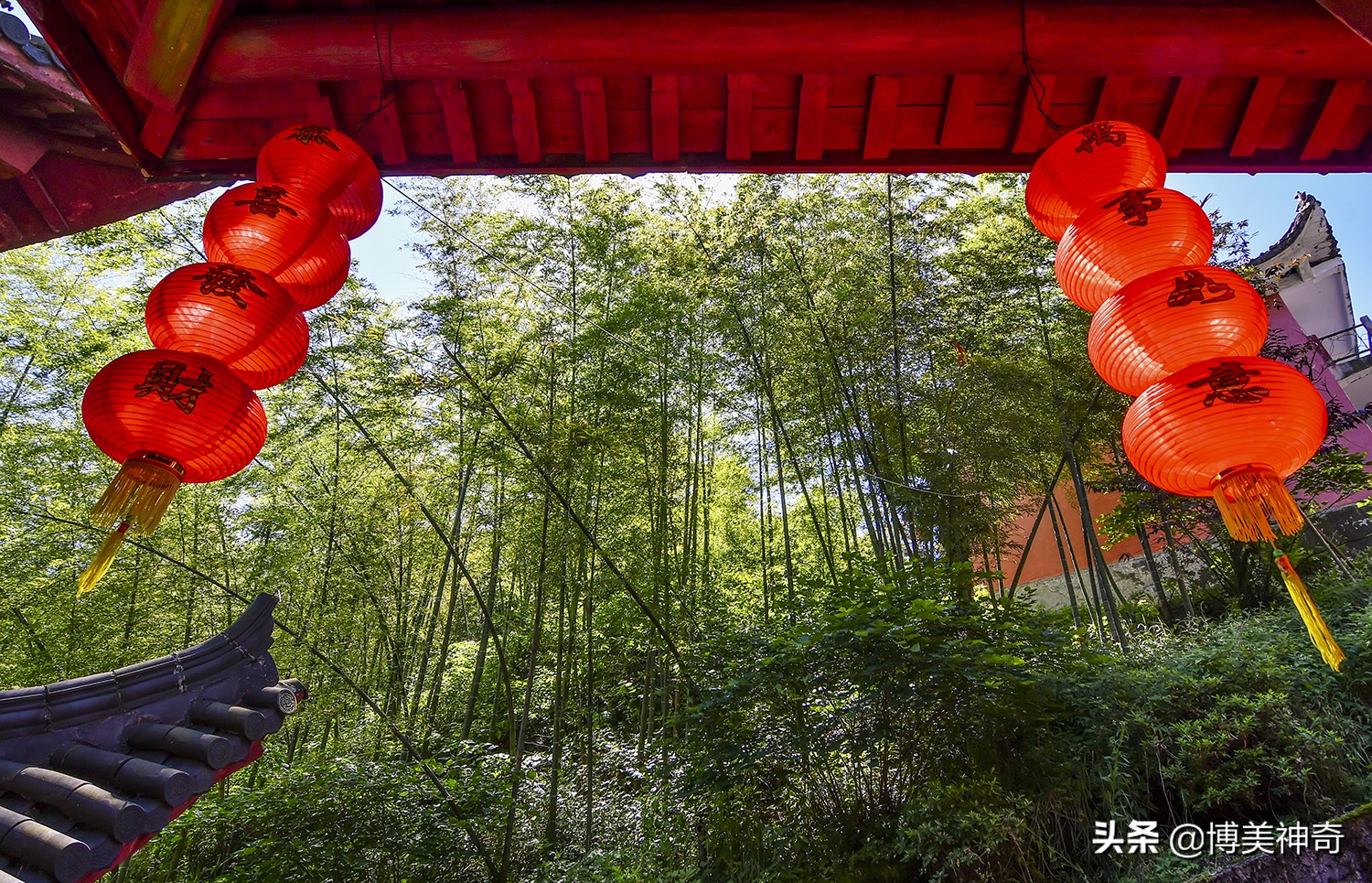 夜往葛仙村，瞧一瞧仙人的夜生活；晨登葛仙山，上一柱平安祝福香