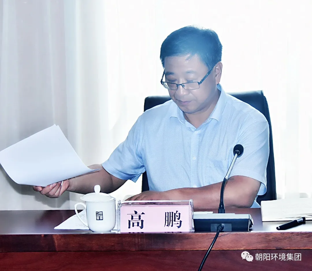 辽宁国能集团,辽宁国能集团(控股)股份有限公司