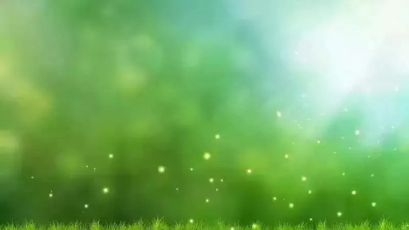 没用的双眼皮锻炼器,只管叫醒的止鼾神器,那些年我交过的智商税