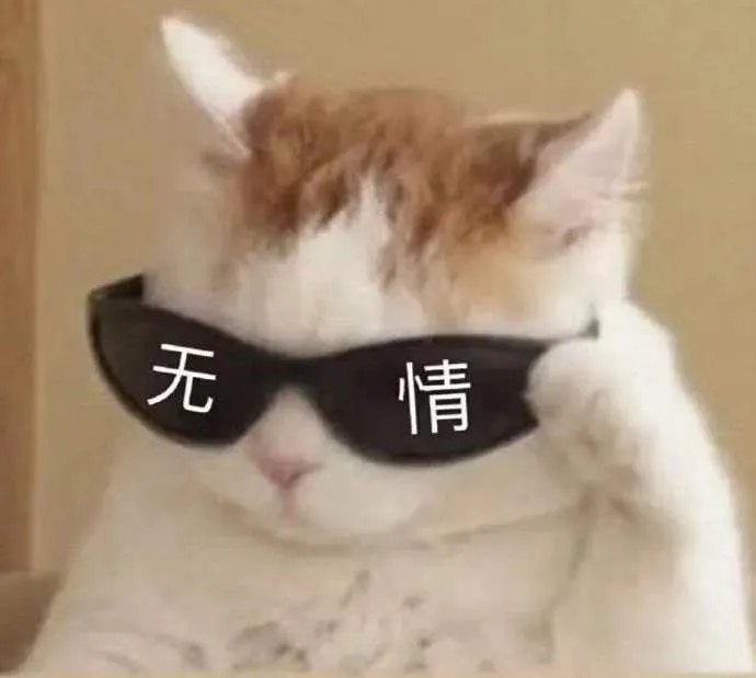 猫咪戴墨镜表情包