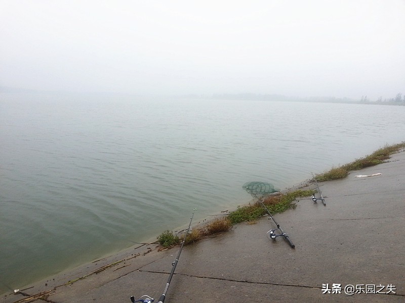 海竿与矶竿，抛竿阵营下的两大产品，相似的属性不同的运用