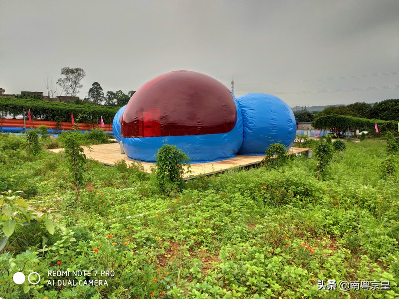 清远北江河边有个小渔村~白庙，还有个娃娃鱼养殖基地雪鲵庄园