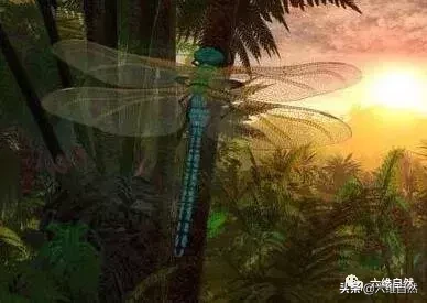 史上最大昆虫，巨脉蜻蜓体长2.4米，诞生和灭绝皆由于氧气含量