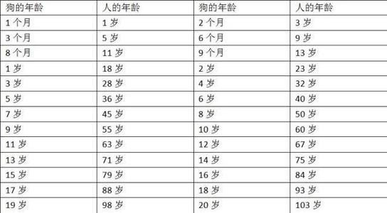 狗的寿命一般能活多少年（狗年龄对照表一览）