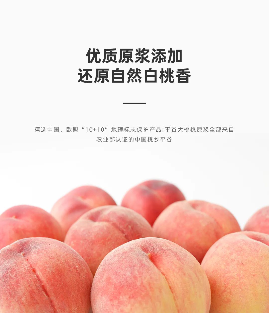 真正的气泡水自由！鲜汽十族 x 伊比西带来颠覆性零糖配方