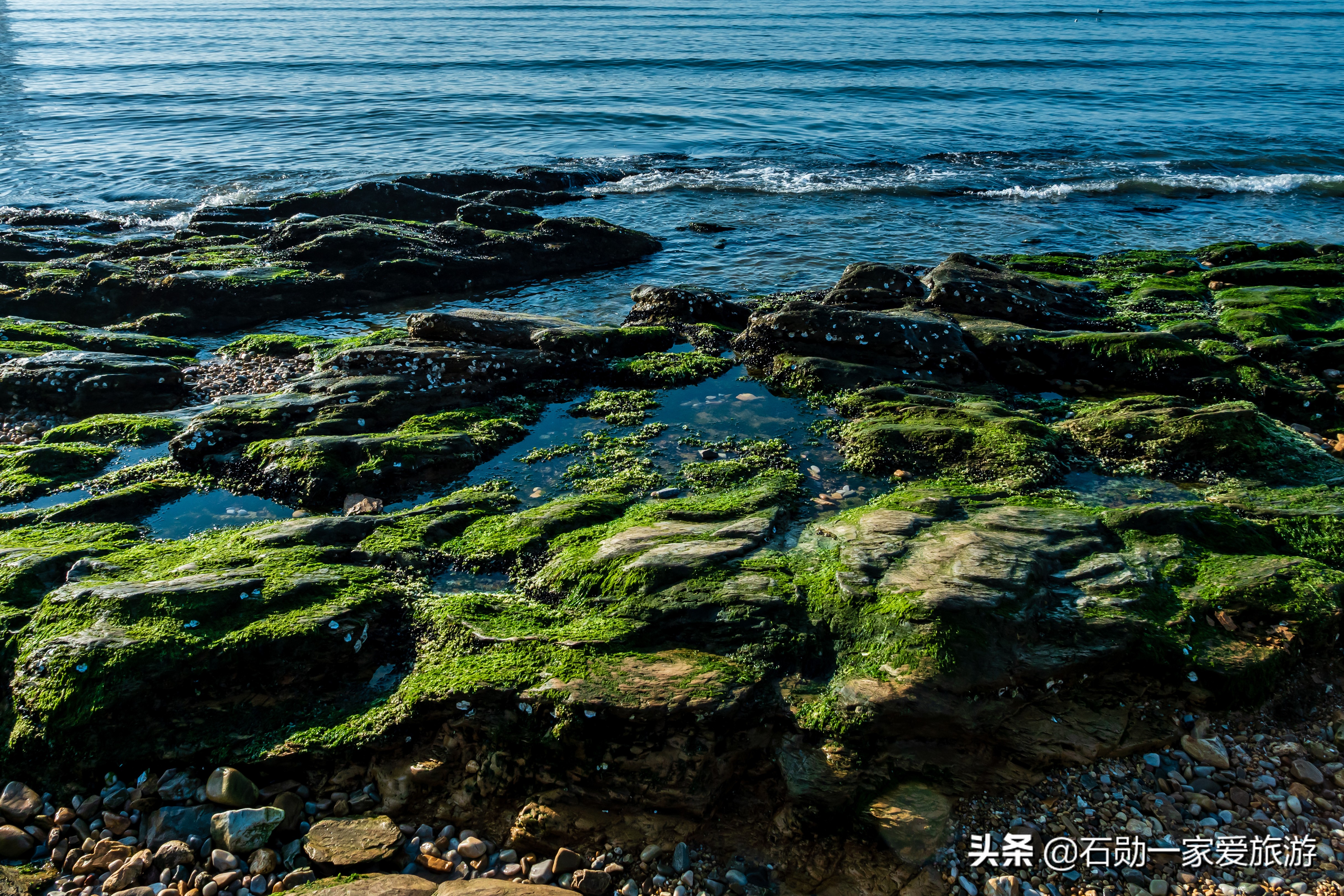 大连星海公园图片（「在路上」儿时春游打卡地，大连历史最悠久的海滨公园，星海公园）