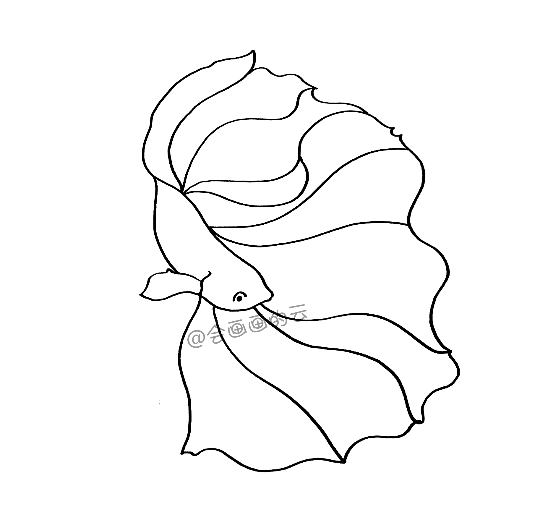 3款简笔画金鱼，零基础也可以画的线描画
