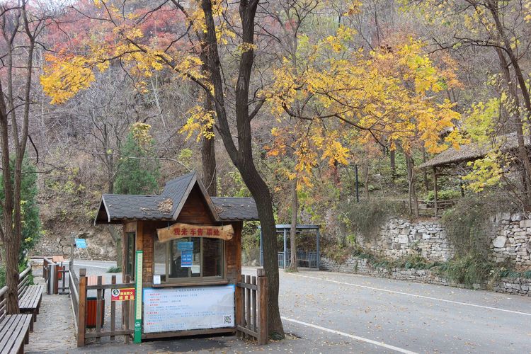 跟着《聊斋》漂亮小姐姐，穿越到潭溪山看最美秋色