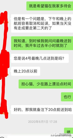 给大家介绍宠物托运的全过程，靠谱的宠物托运应该是怎么样的