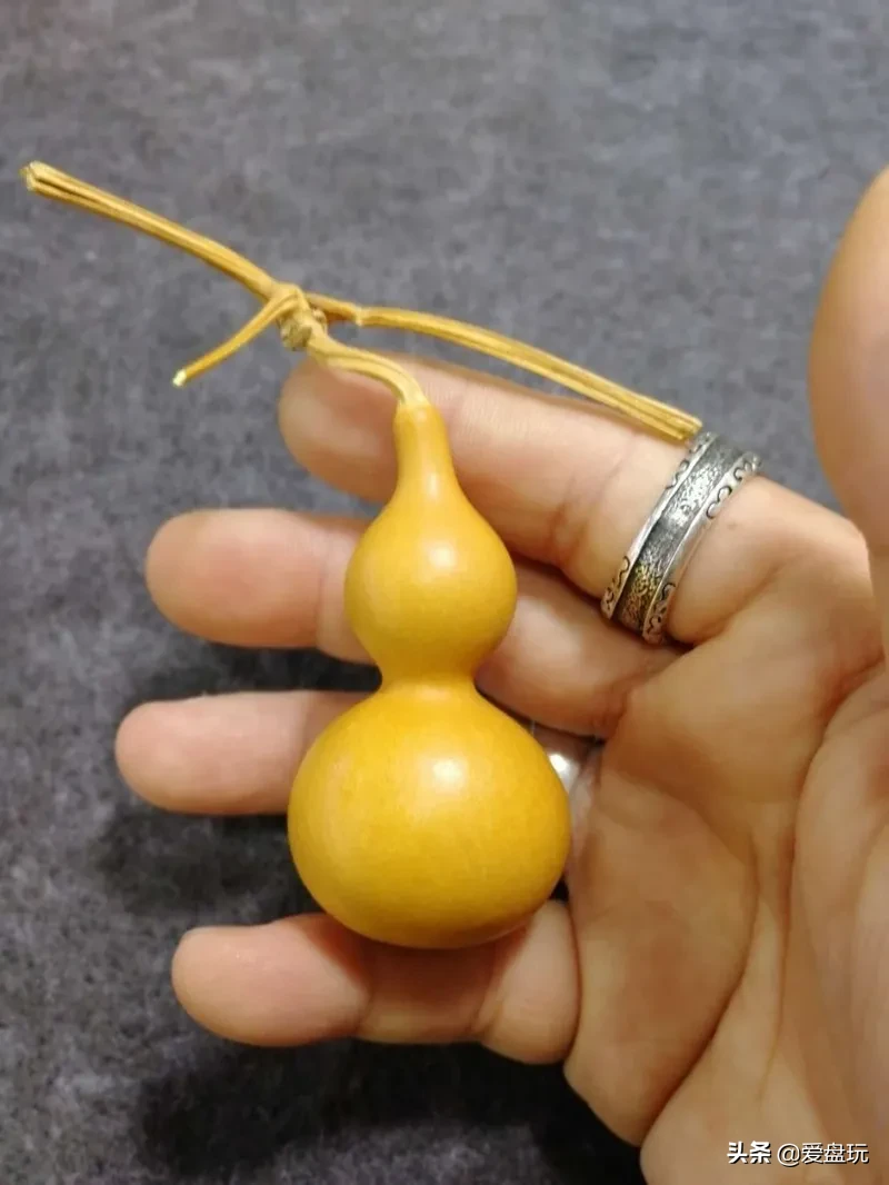 这两类葫芦长相都比较奇特,价格也能卖到成千上万