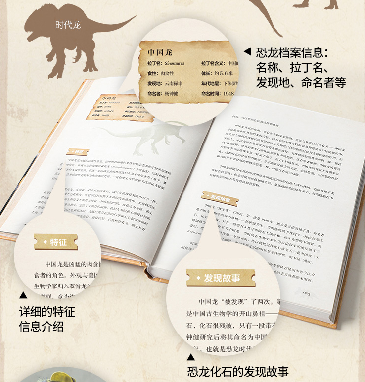 《中国恐龙博物馆》：如果孩子喜欢恐龙，别错过这本中国恐龙图鉴