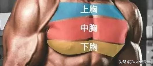 如何练出强壮的胸肌？5个动作，练出雄厚壮实的胸肌不是问题