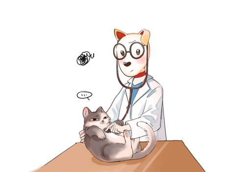 猫肚子上有凸起的小肉粒（猫咪肚子凸起可能是这三个原因）