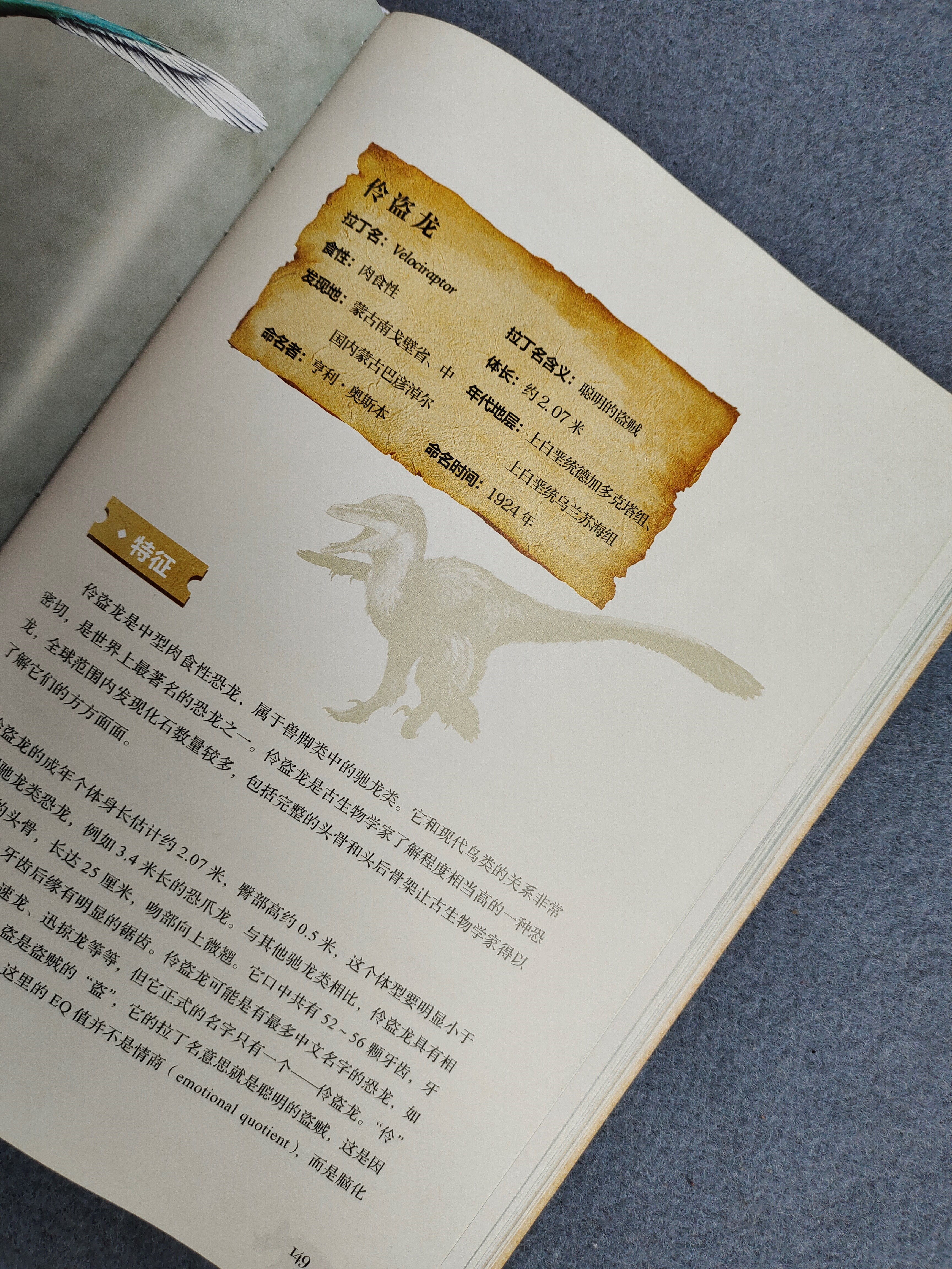 《中国恐龙博物馆》：如果孩子喜欢恐龙，别错过这本中国恐龙图鉴