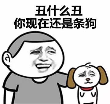 小仙女们真的是太可爱了吧