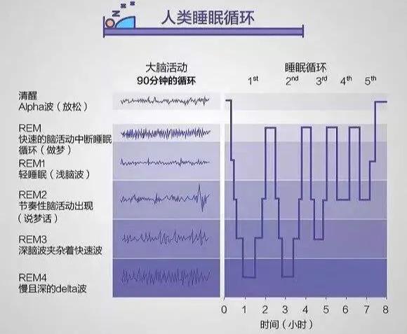 睡眠对人体有多重要？会睡觉的人容易瘦， 3招帮你睡个美容觉！