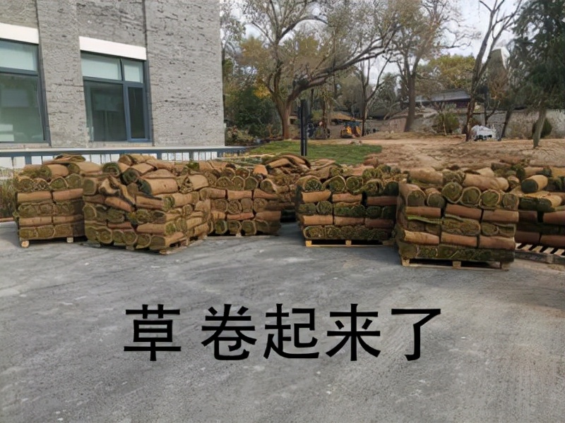 暴降2500元！小米这手机大跳水，首发用户要哭了