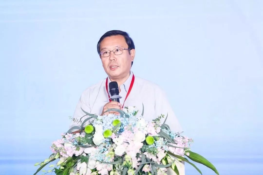 会计名家张新民：AI无法替代的财会人核心优势是什么？