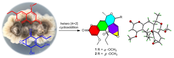骄傲！2020年以来，西北农林科技大学4项科研成果登上国际权威期刊