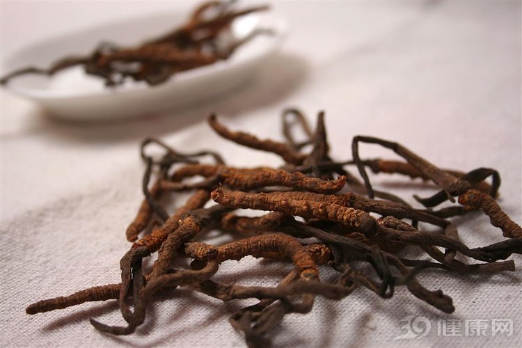 冬虫夏草号称“滋补之王”，搭配这3种食材，营养价值更能翻倍！