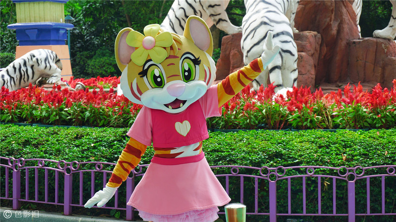 三天三夜欢乐长隆之旅（附攻略）