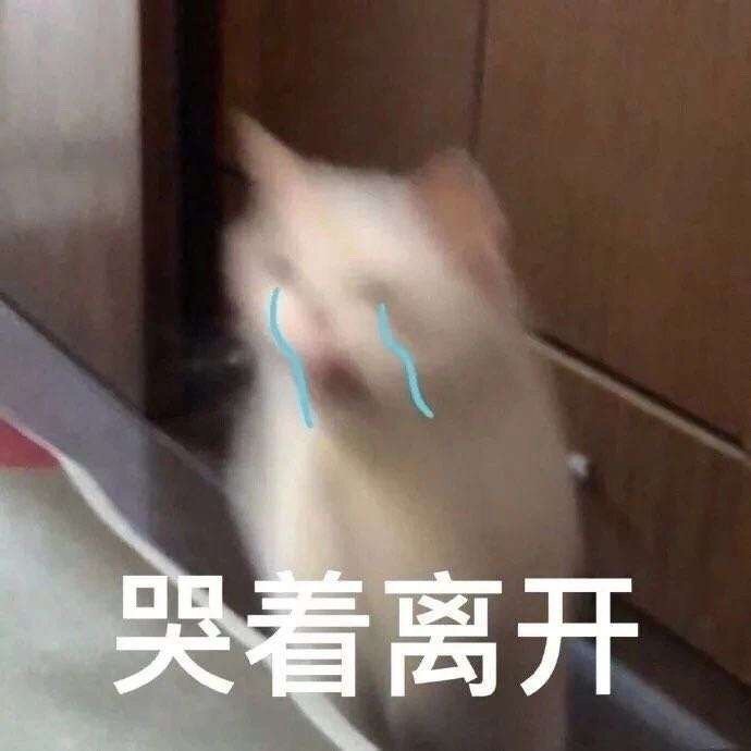 萌娃斗图表情包20张哥哥我投降
