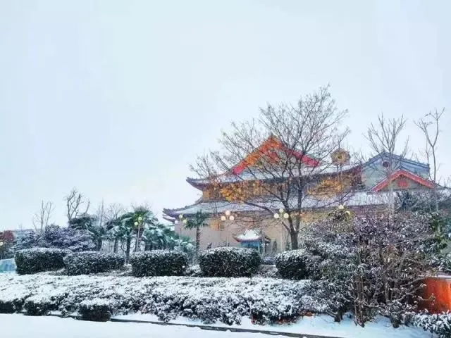 转需！河南大学研究生招生信息热点盘点