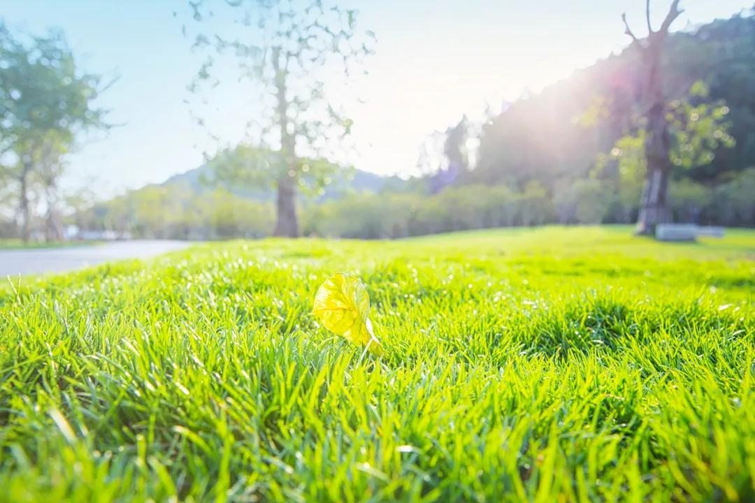 3月最值得去的绝美旅行地,是时候安排一下自己的旅行清单啦