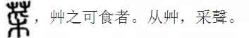 千字文详解：蔬菜之美，色香形味俱全