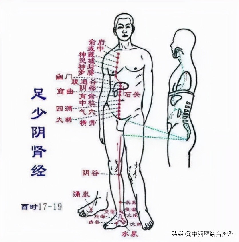 「中医讲头痛」头痛是内脏在警告什么呢？头顶痛是肝头痛、前额痛是胃头痛等，快来看看吧