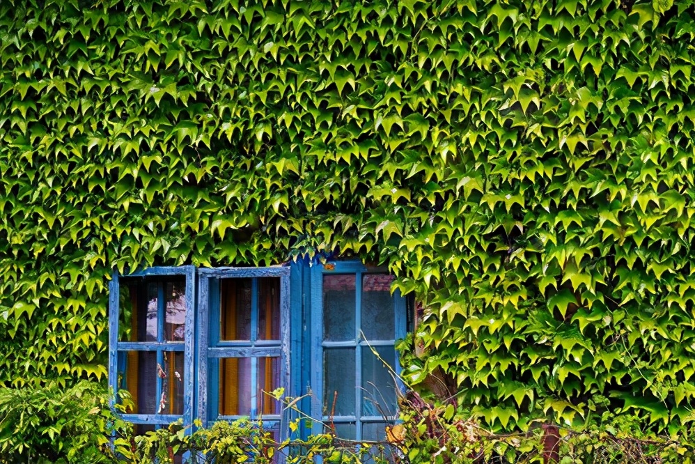 2021高考必读：现代文物象的“四大情感意蕴”和“五大经典手法”