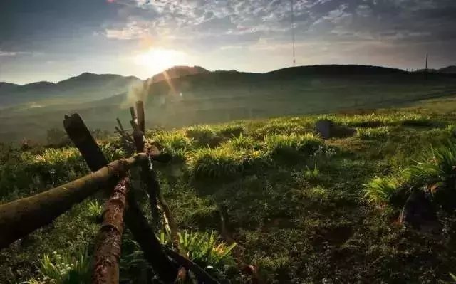 还有9天，贵州人集体放假！85个度假胜地马上安排！