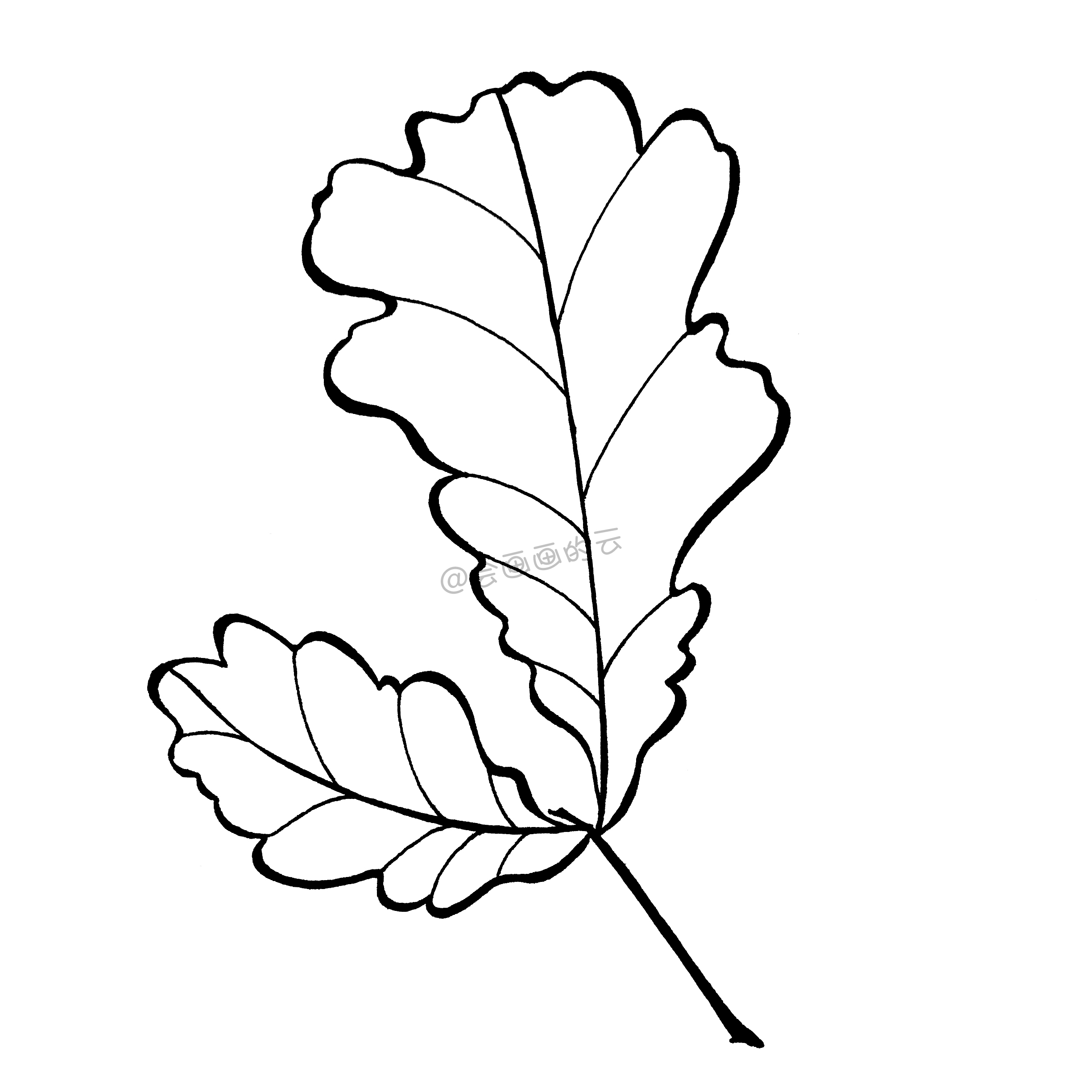 怎样画树叶图片大全集(一支笔就可以画的简笔画) - 赤虎壹号
