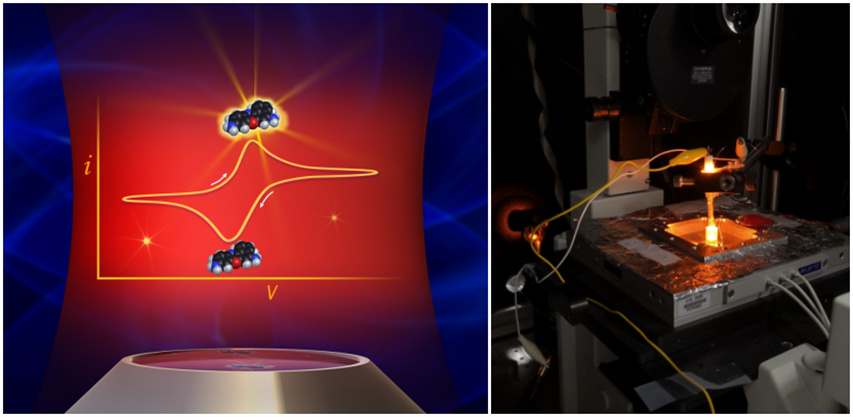 国际范！最近，美、日、韩等多国名校，纷纷与广西这所大学合作
