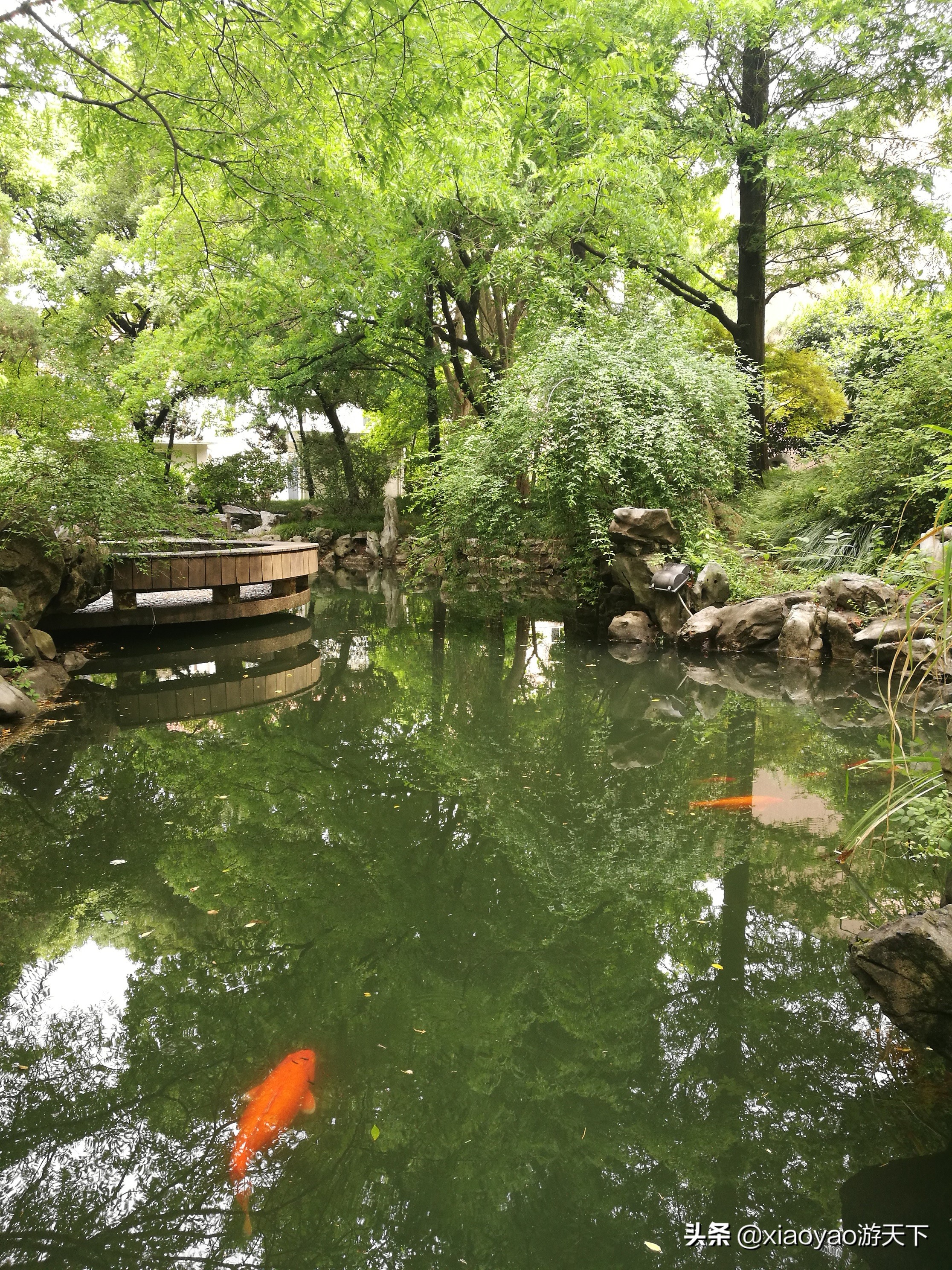 最美大学之旅——复旦大学