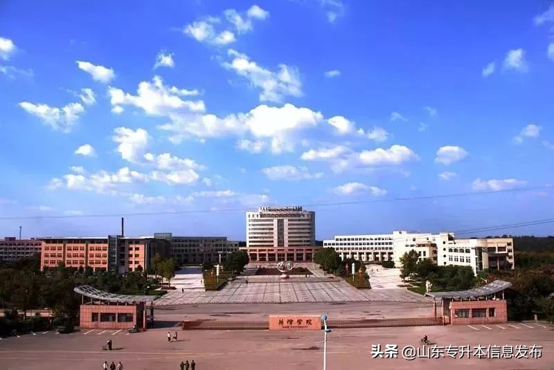 山东专升本各专业对应招考院校分析---计算机科学与技术