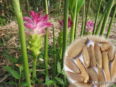 “荨麻疹”多次口服氯雷他定仍反复发作，看看如何中医快速辨治