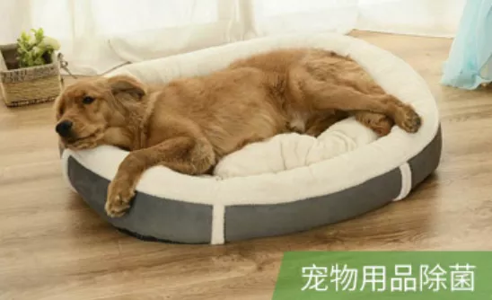 洗衣液只能洗衣服?家居都能用得上,除菌达到99%,价格不到60元