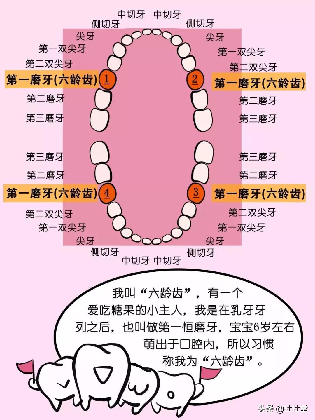 牙齿封闭多少钱(窝沟封闭是骗局吗) - 价格百科