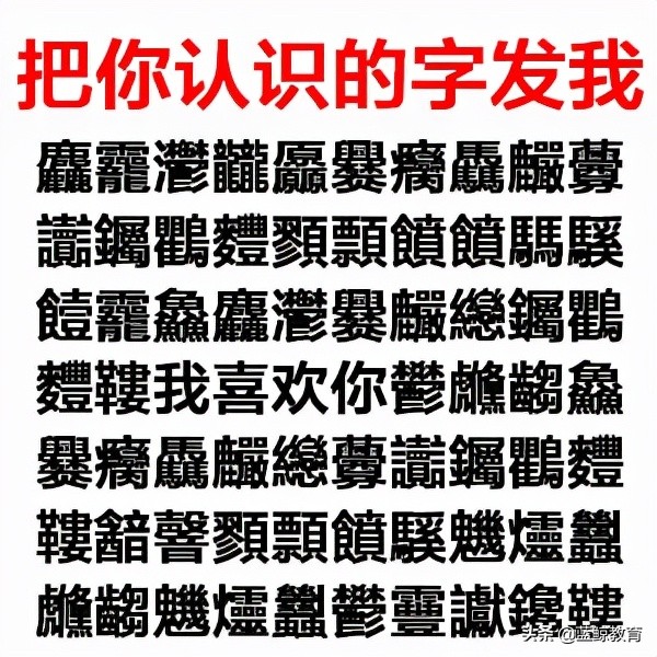 有道词典笔专业版3测评：再见了词典，不用你也能远航