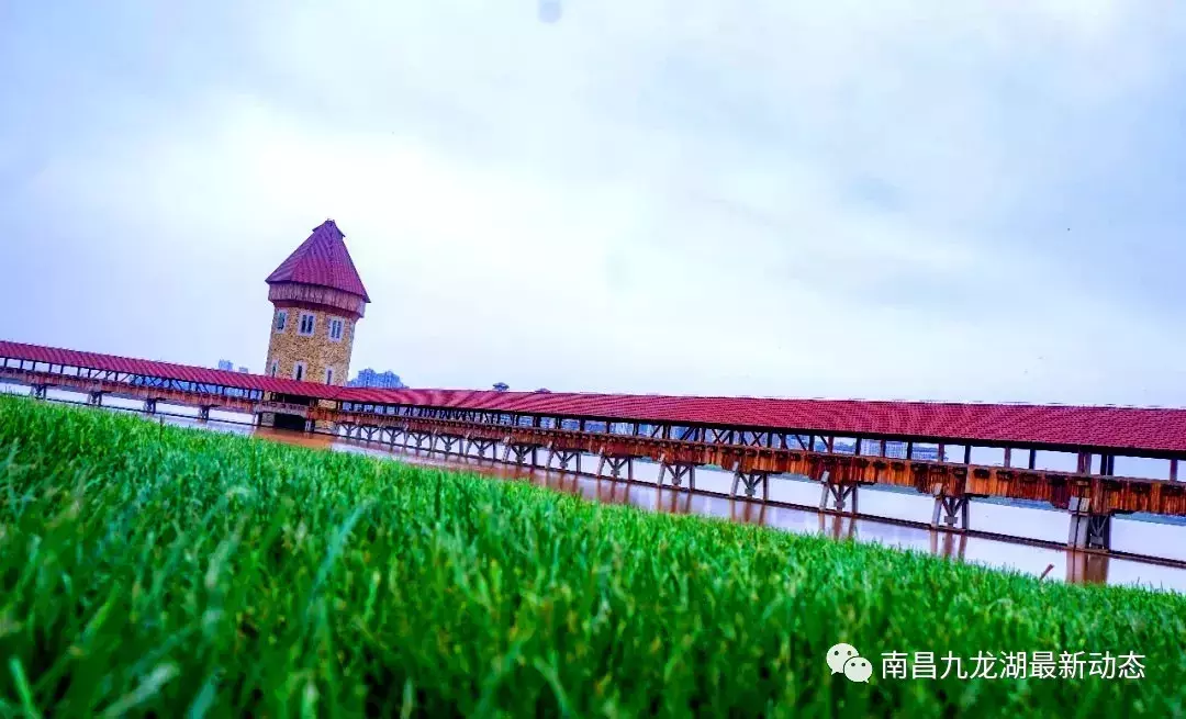 南昌九龙湖网红小镇卢塞恩又"火"了