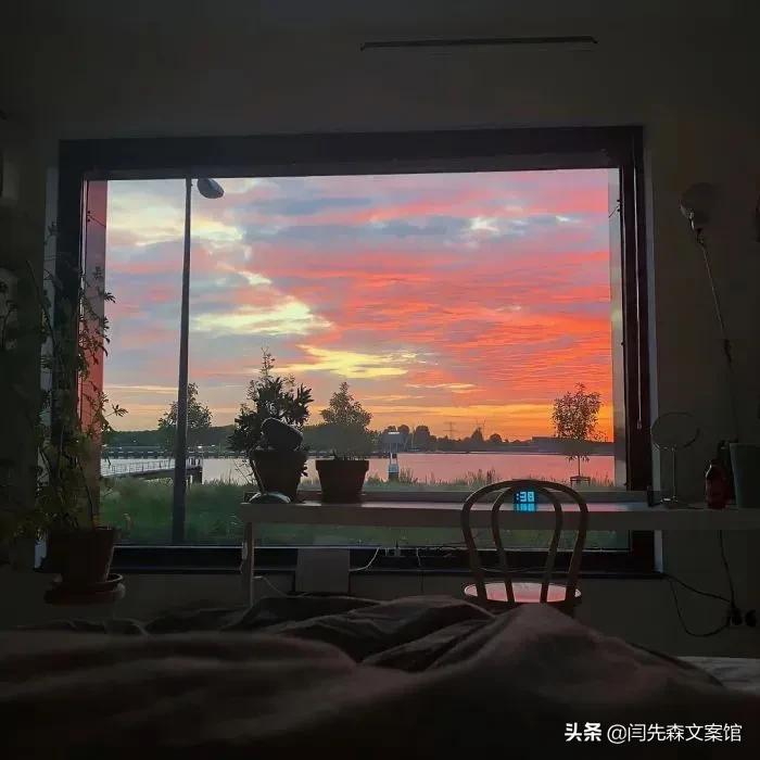 最让你心动的一句情话是什么