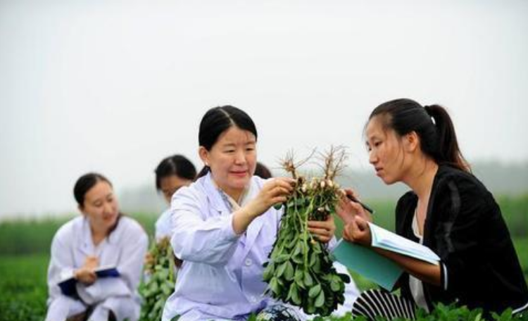 农学生挂科理由有多奇葩？西瓜被偷不算啥，油菜花被吹折太好笑了