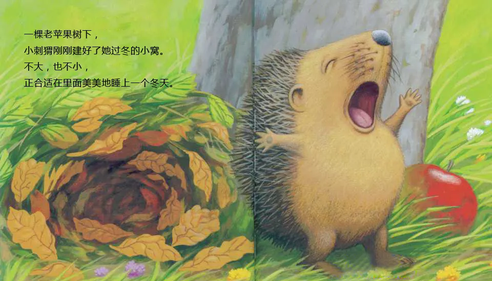有声绘本:《小刺猬的麻烦》鼓励孩子遇到困难不放弃积极动脑思考