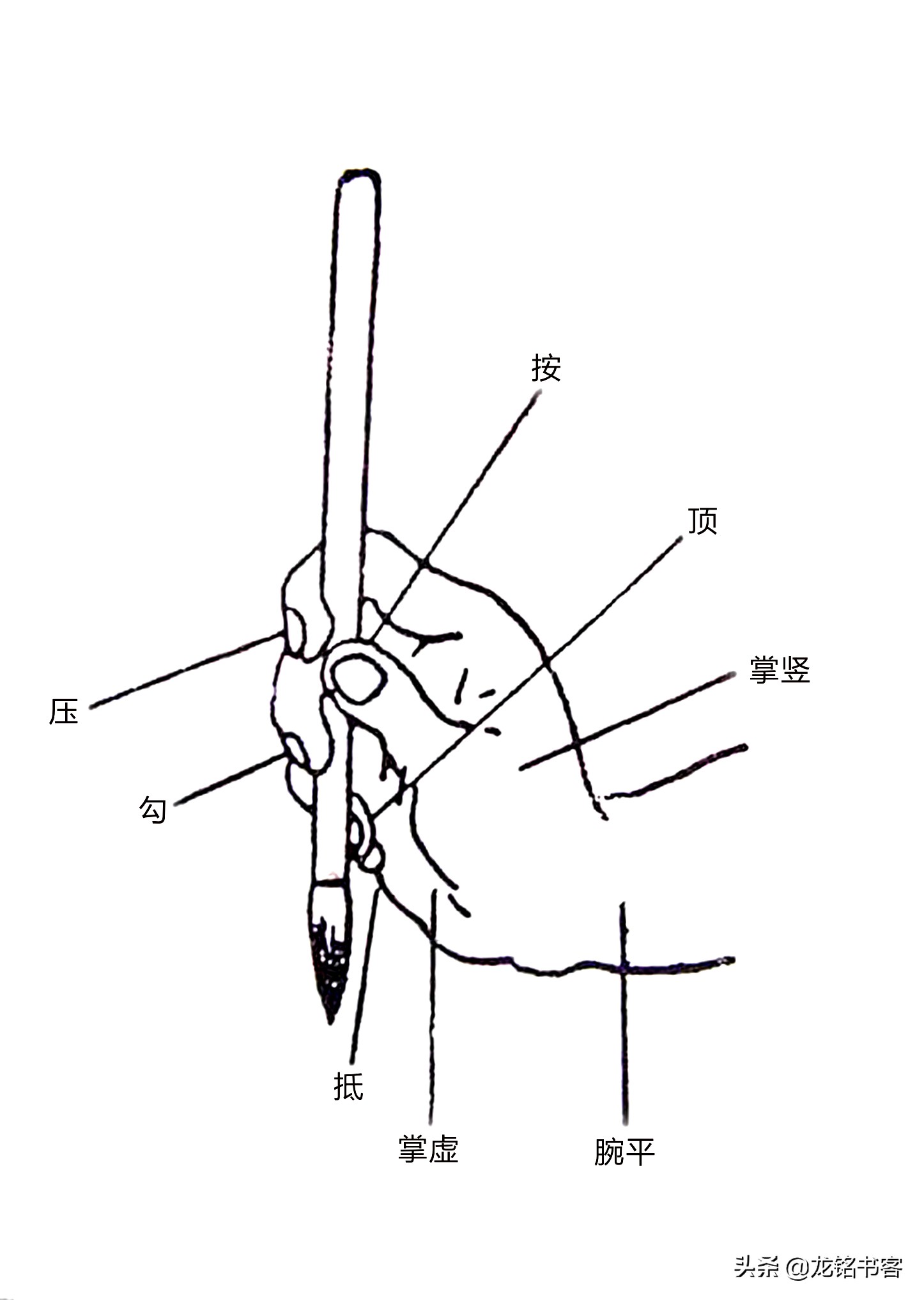 毛笔握法(书法中"执笔无定法"真的是指拿笔方式无所谓吗?