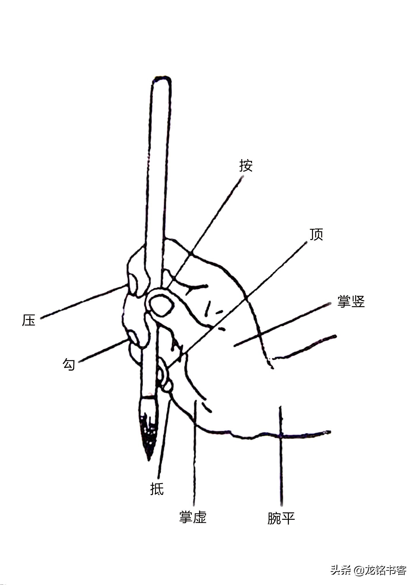 传统五指执笔法示意图最后,我总结一下:苏轼说的"执笔无定法,要使虚而