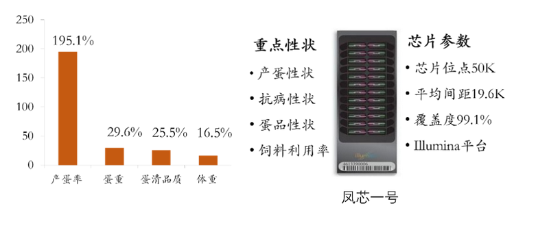 从被制约到领先国际，这所“国字号”大学创下多个“首次”，打破国外垄断！