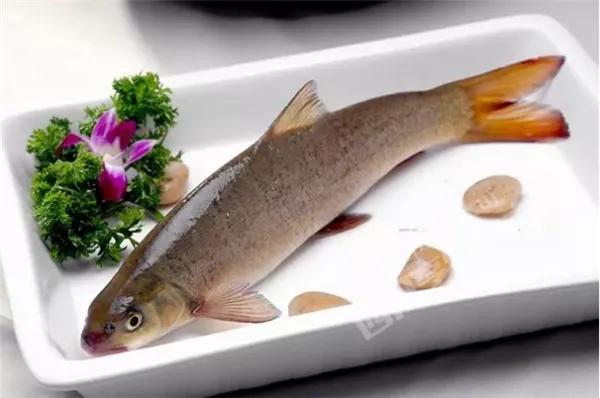 21种国产野生名贵淡水鱼，吃过8种，你就是饕餮达人了